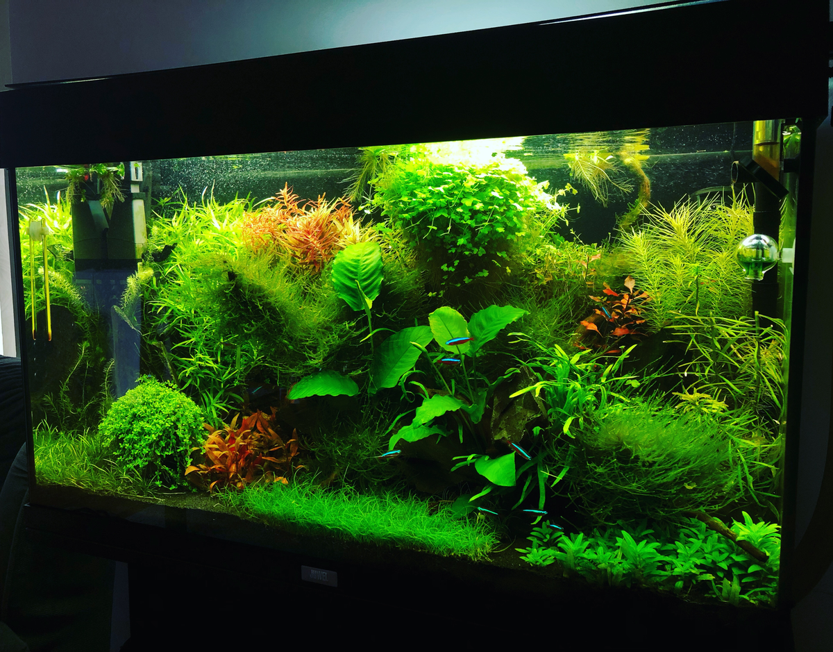 Aquarium water treatment