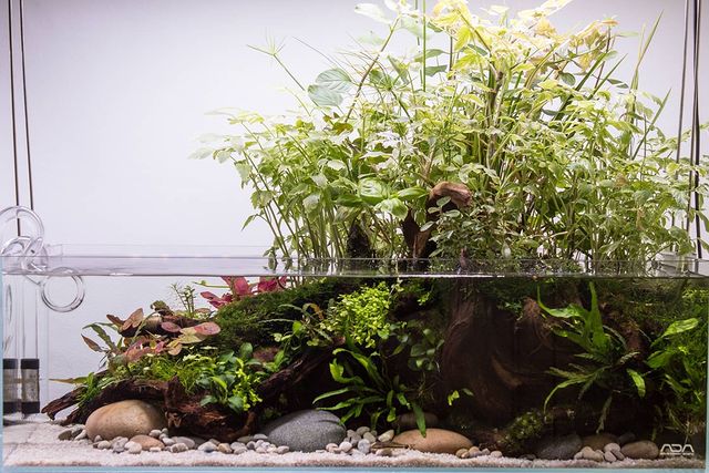 Gallery image with a fresh perspective