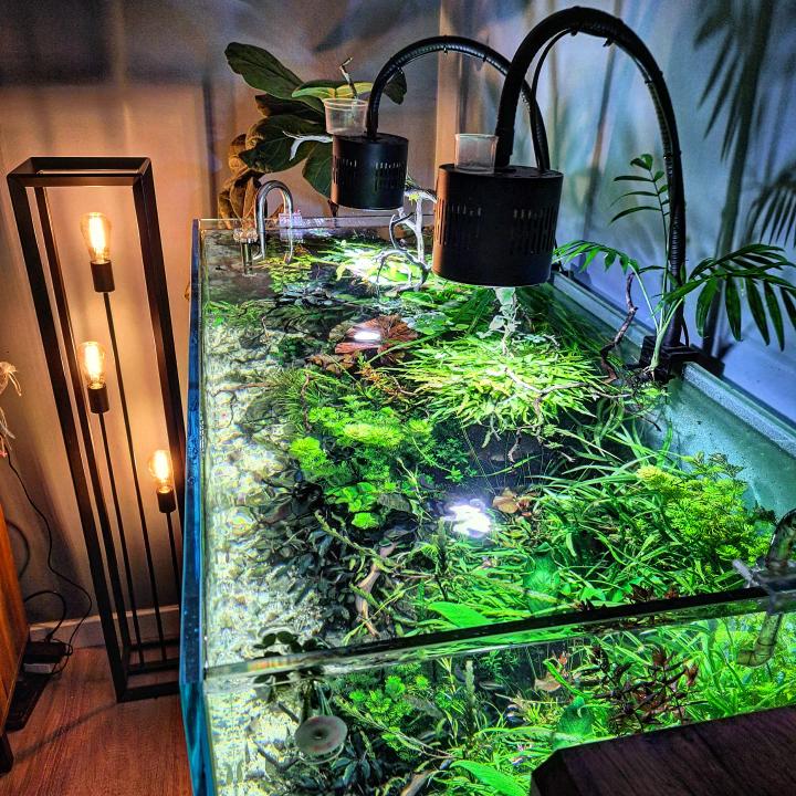 Everything you need to know about water hardness in aquarium