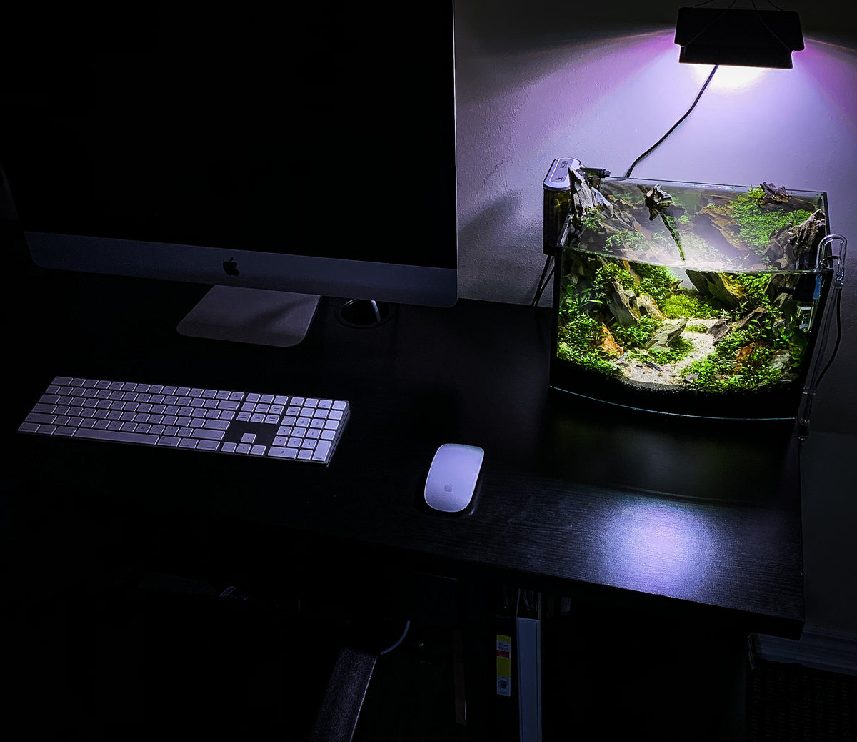 planted nano tank