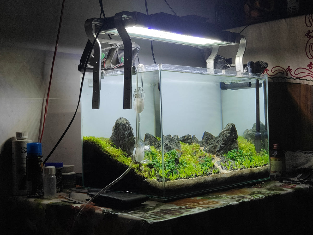 CO2 Reactor vs. CO2 Diffuser – What is the Difference?