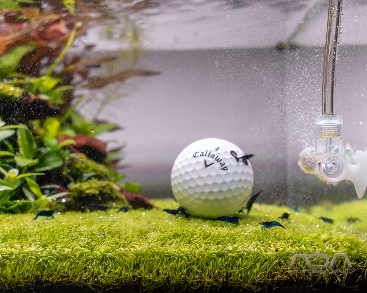 Why is CO2 such a good help when combating algae?