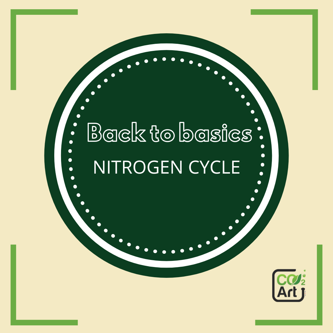 co2art nitrogen cycle