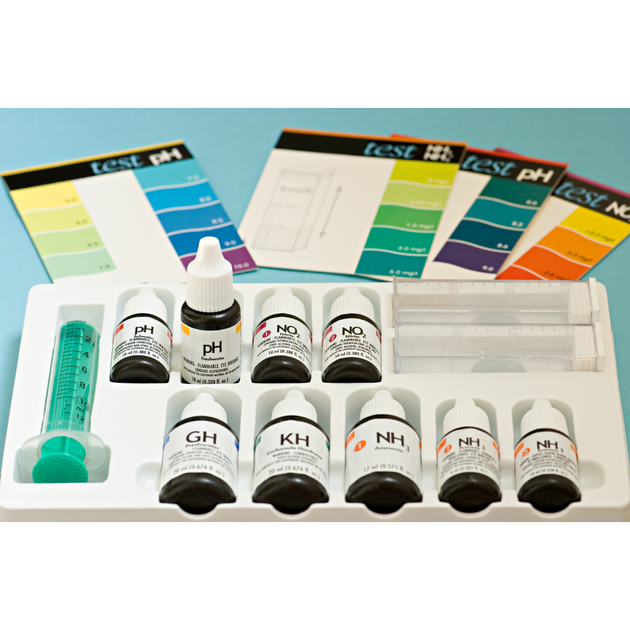 How to test aquarium water for healthy fish and plants?