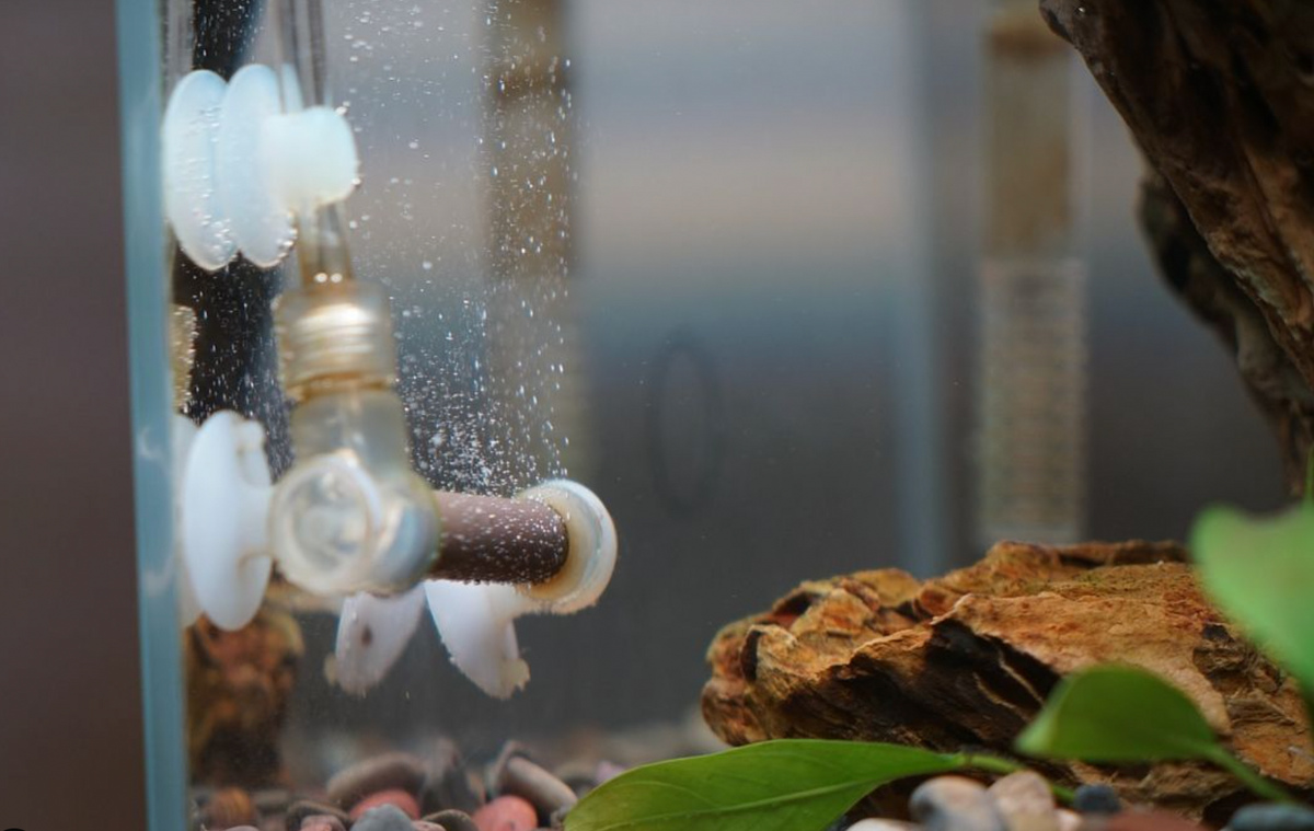 Bad CO2 Bubbles: Why Your Diffuser Mist Isn't Reaching Plants