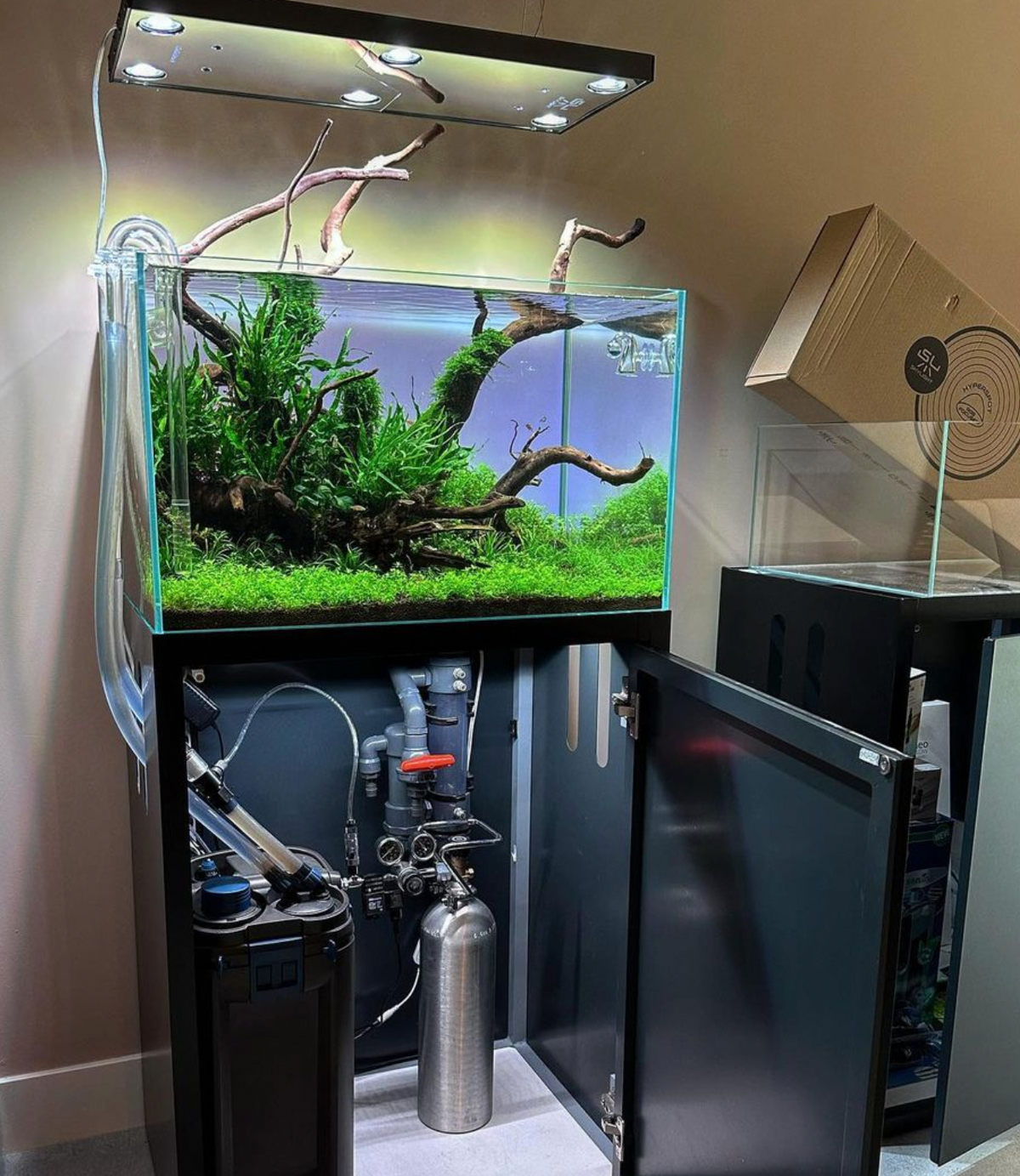 The role of canister filter in aquarium