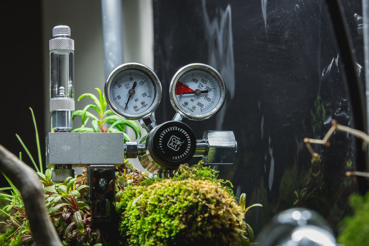 a CO2 diffuser with a bubble counter