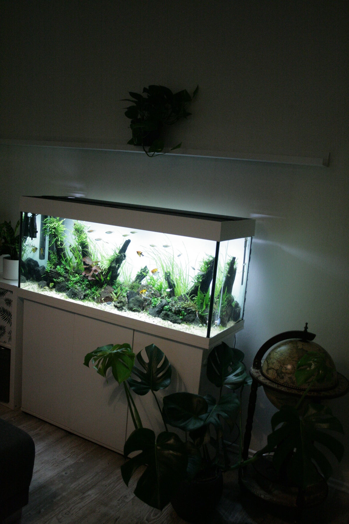 A fish tank with a cover