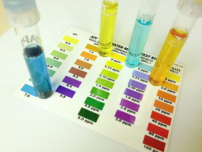 Ammonia testing for water quality