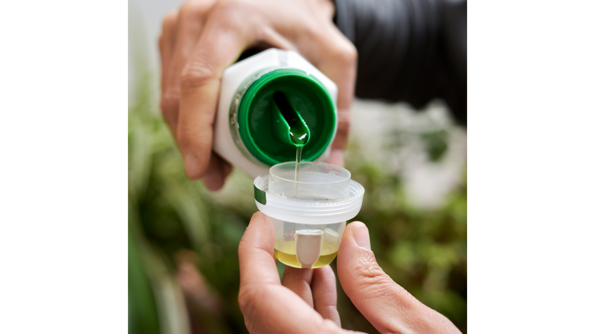 Fertilizers for aquarium plants