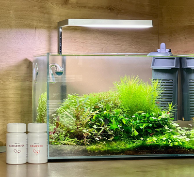 How many bubbles per second of CO2 are necessary for planted aquarium?