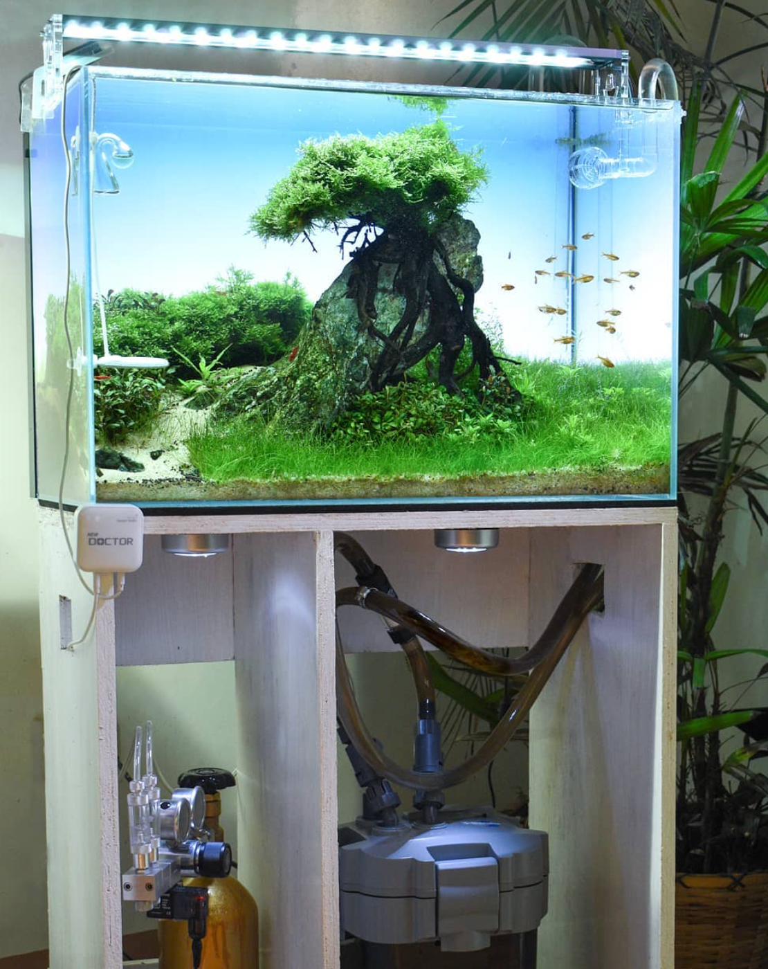 island style tank by A. Jutba