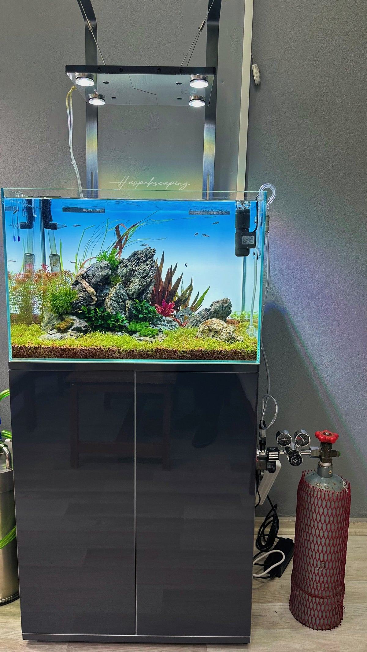 Using Activated Carbon in Aquarium Filters