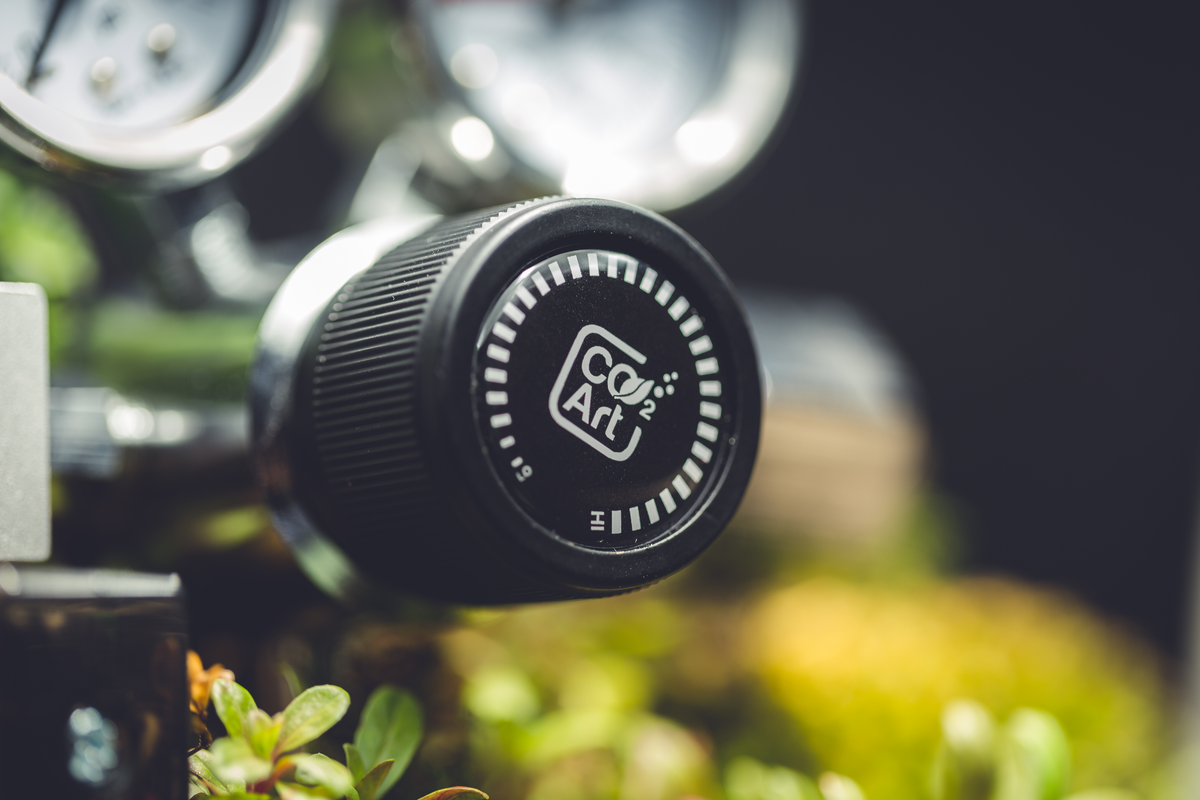 How to add CO2 safely to your planted aquarium