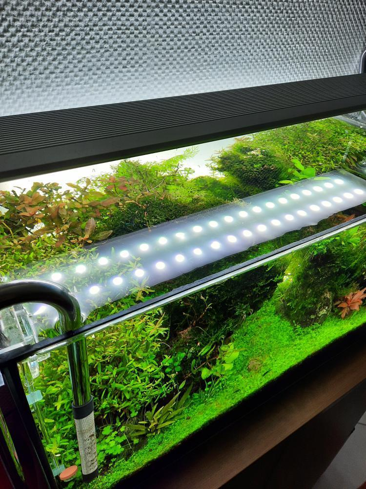 Best aquarium heater