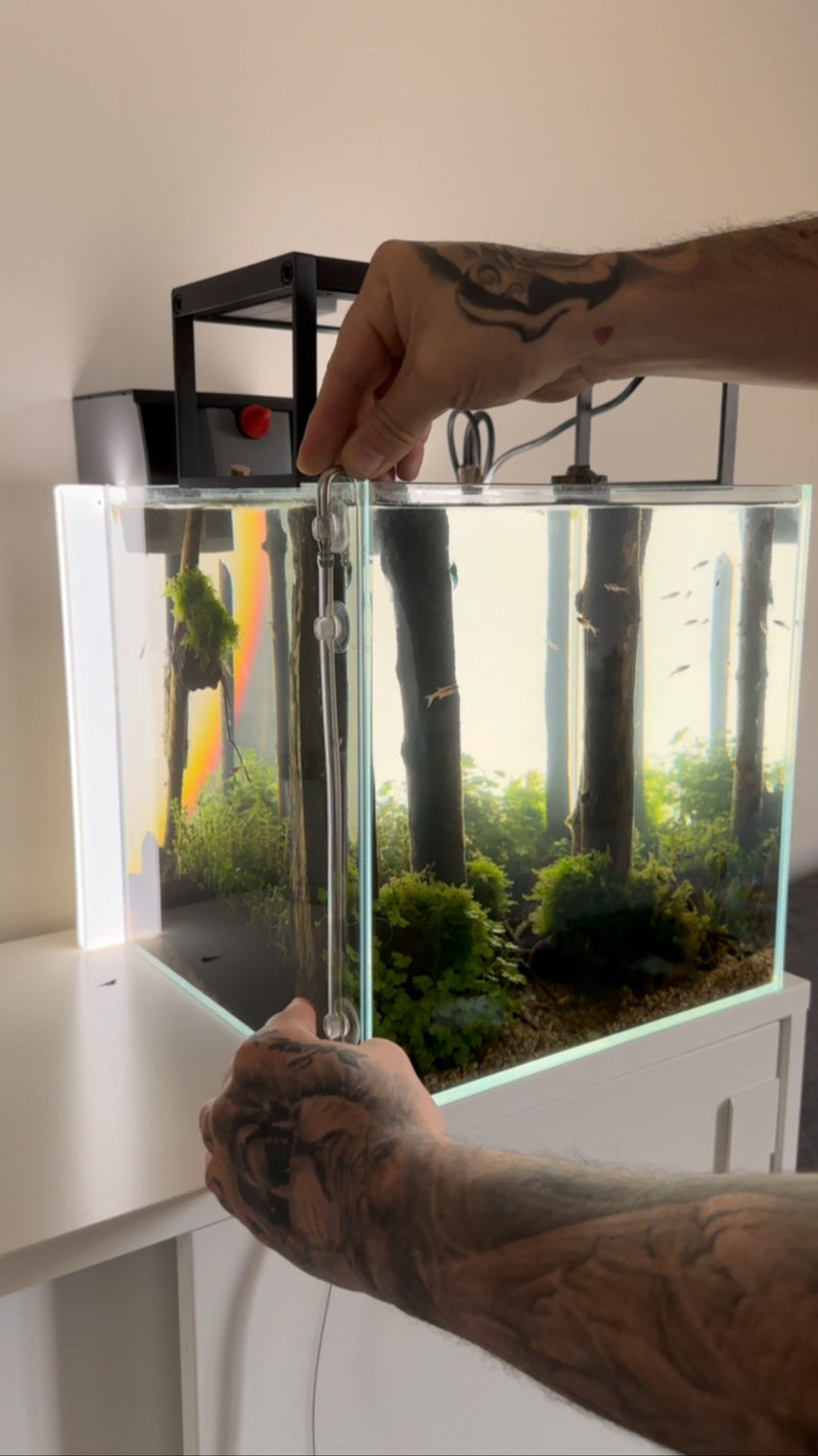 Instagram post by @aquascaping.passion