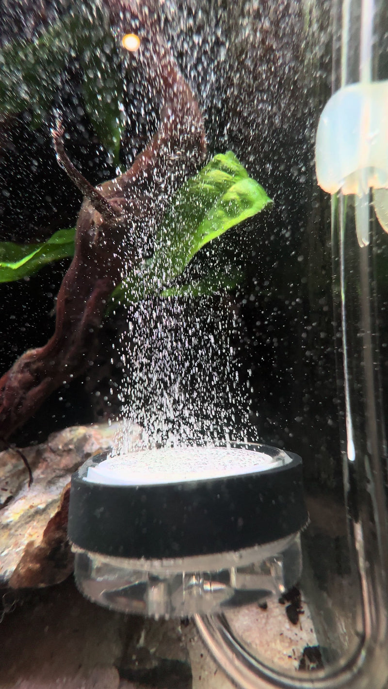 TikTok video by @aquascaping.passion