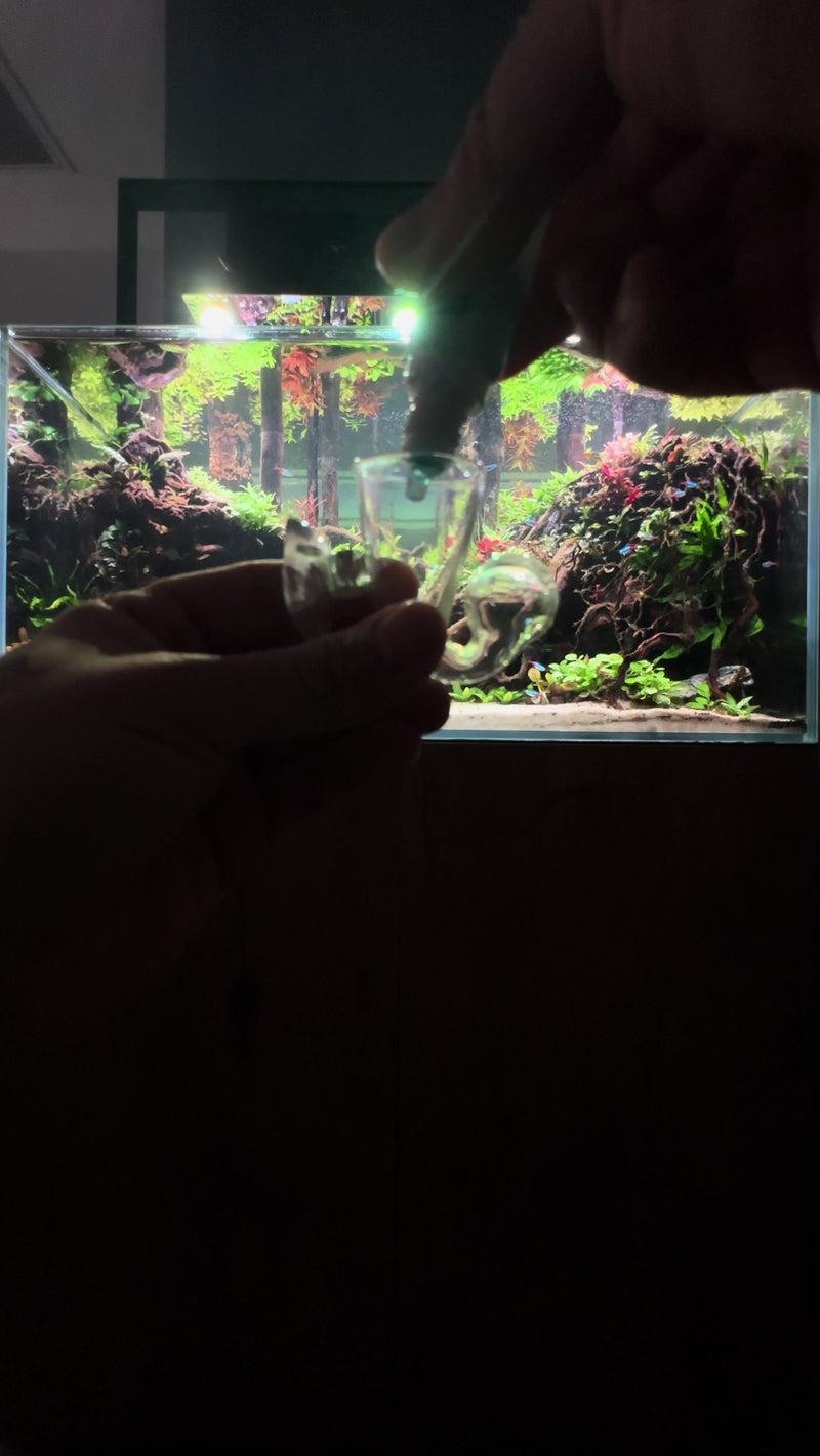 TikTok video by @aquascaping.passion